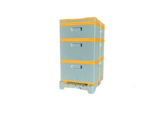 USA Hive Kit (Two Deeps, One Medium)
