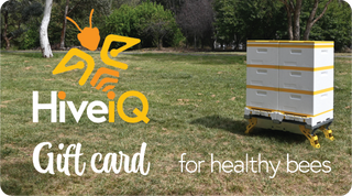 HiveIQ US Gift Card
