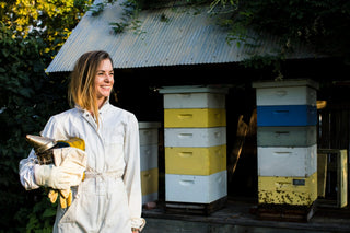 A hive of tips to keep your bee colony buzzing with health