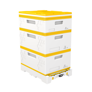 Hive Kits & Bundles