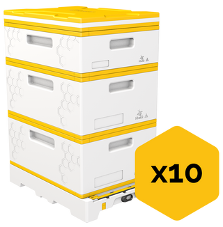 10x USA Hive Kit Bundle (Two Deeps, One Medium)