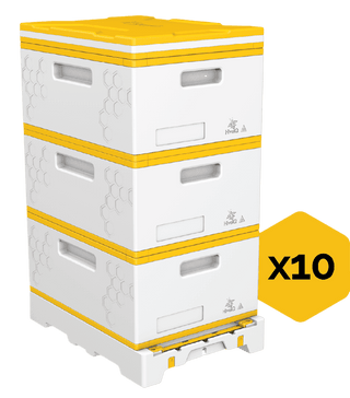 10x Three Deeps Beehive Bundle
