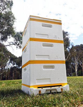 Poly Beehive in field